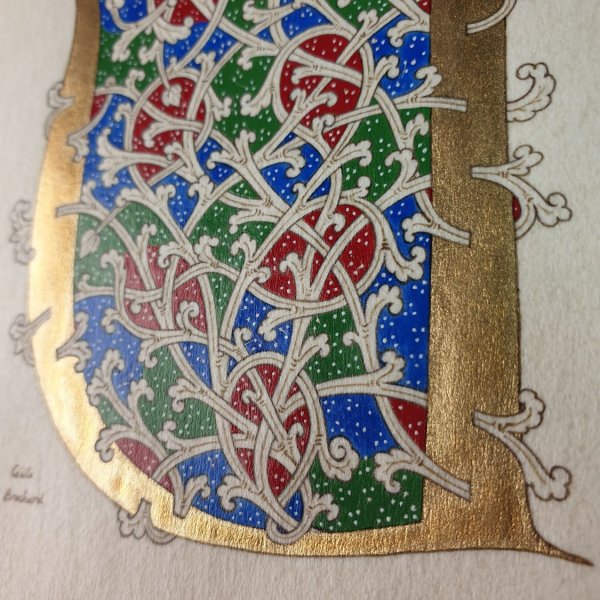 Verlichte letter U in Romaanse stijl