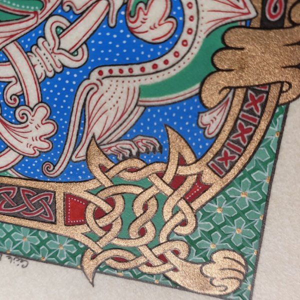 Verlichte letter D in Romaanse stijl