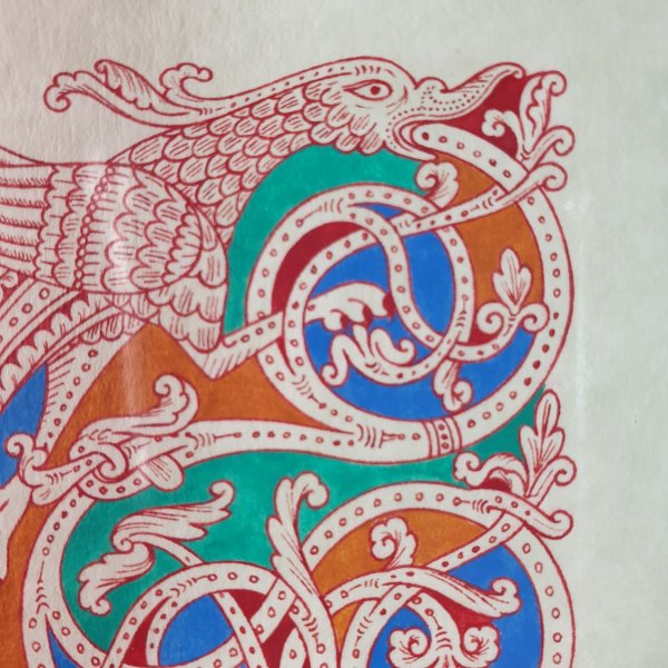 Verlichte letter F in Romaanse stijl